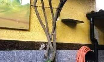 Imagem 3: Apartamento com 2 Quartos para alugar - Bangu-Contatos: Alex Lima(zap):