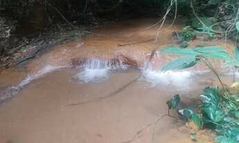 Imagem 6: Chácara 5000 metros