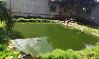 Imagem 4: Chácara no jardim São Domingos