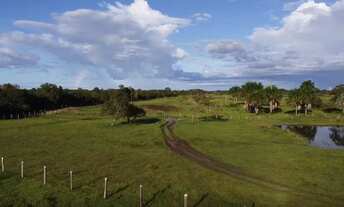 Imagem 4: Fazenda Vale do Boi - Ideal para pecuária