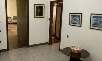 Imagem 6: CASA TÉRREA - MOEMA ÍNDIOS - SP