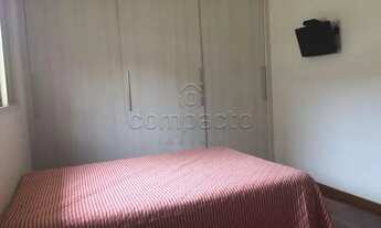 Imagem 7: Casa Padrão em São José do Rio Preto