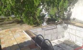 Imagem 6: Excelente Casa na Santa Amélia