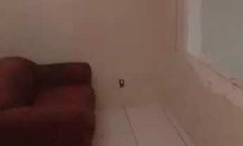 Imagem 7: Casa para aluguel