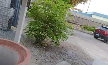 Imagem 3: Excelente Casa na Santa Amélia