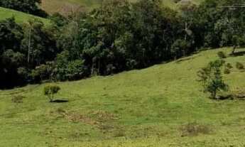 Imagem 7: Sitio 7 Hectares Delfim Moreira /MG Excelente Oportunidade em Permuta!