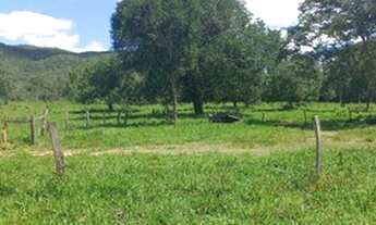 Imagem 2: Fazenda em Teresina do Goiás