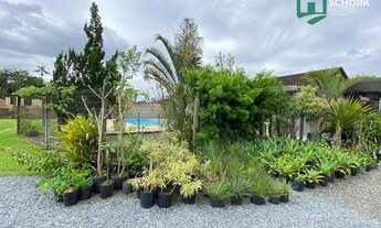 Imagem 4: Terreno à venda, 1838 m² por R$ 1.800.000,00 - Itoupava Central - Blumenau/SC