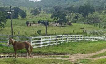 Imagem 2: Fazenda Município de Hidrolândia-Go
