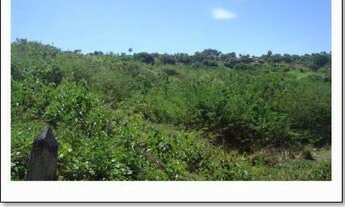 Imagem 3: Fazenda Angélica 104 ha, Sítio Monte Claro, Crato CE