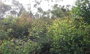 Imagem 3: Fazendinha rural de 6.5 ha, Jaboticatubas (Temos varias opções)