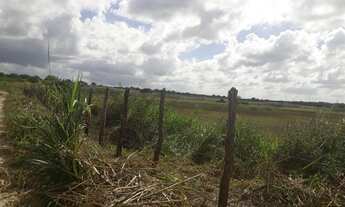 Imagem 6: Excelente Fazenda com 95 hectares na região de vera cruz