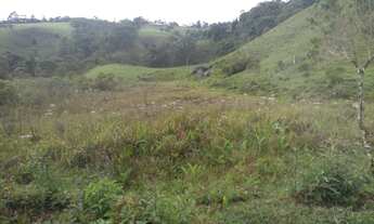 Imagem 7: Sítio com 4 Alqueires de Terras Férteis e Rico em Água, Sul de Minas, Delfim Moreira/MG