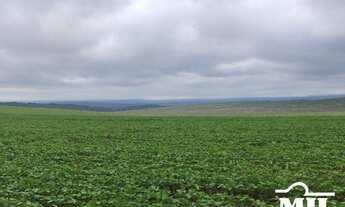 Imagem 5: Fazenda Sudoeste Goiano. (Irrigada e Sequeiro). > 620 Alq. (3.000 Há)