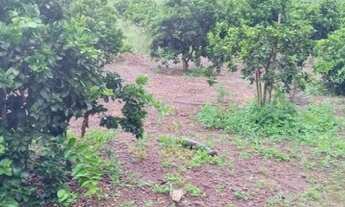 Imagem 6: Chácara em Brazlândia ´DF próximo a Festa do Morango e ao Bica D'água