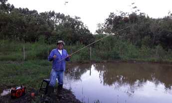 Imagem: Sitio 4.2 Hectares em Desterro de Entre