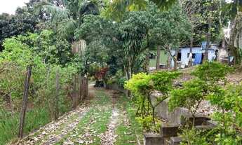 Imagem 4: Chacara APARECIDINHA ARACARIGUAMA SP Brasil