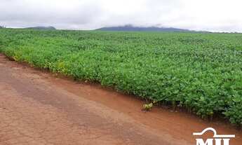 Imagem 5: Fazenda em Silvanopolis-TO. > 391 Alq. (1.894 Há). em Soja