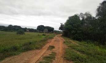Imagem 2: FAZENDA COM 252 HECTARE NA REGIÃO AGROVILA