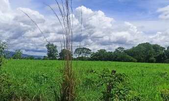 Imagem 3: Fazenda de 120 alqueires em flores Goiás