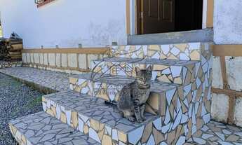 Imagem 6: Casa para Venda em Angelina, centro, 3 dormitórios, 4 banheiros, 2 vagas