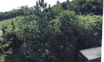 Imagem 5: Apartamento Apartamento com 2 dormitórios