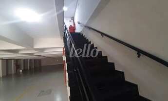 Imagem 4: Santo André - Apartamento Padrão - Campestre