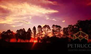Imagem 3: Terreno - Barão Geraldo - Campinas