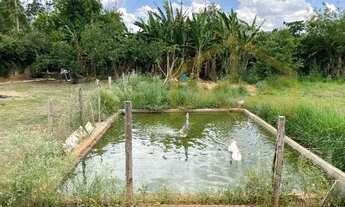 Imagem 5: Chácara - Piracambaia II - Campinas