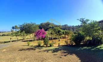 Imagem 3: Sítio - Soamin - Porto Feliz