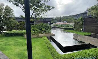 Imagem 7: COMERCIAL - SACO GRANDE - SC