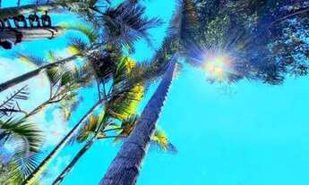 Imagem 4: Casa para aluguel no Golf