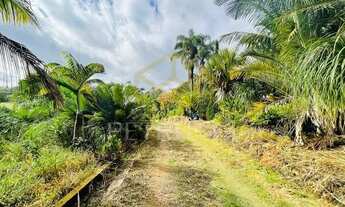 Imagem 3: Chácara - Dois Córregos - Valinhos