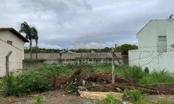 Imagem 7: Terreno - Nova Campinas - Campinas