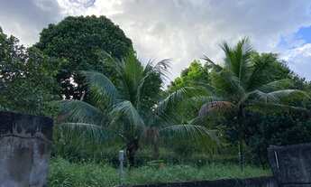 Imagem 4: Sítio situado em palmares