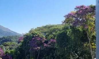 Imagem 3: Centro apartamento alugo salao 3 quartos