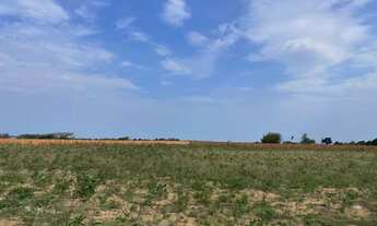 Imagem 6: Chácara , sítio etc?