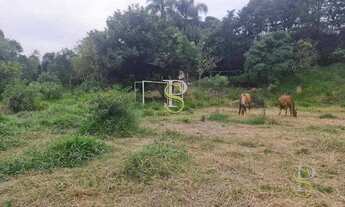 Imagem 7: Área à venda - 11000 m² - para Incorporação - com Escritura - Mairiporã/SP