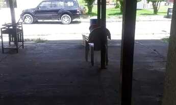 Imagem 11: Kévyla Melo: Vendo Um Apartamento Térreo com Área na Mário Covas