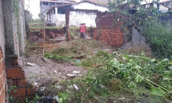 Imagem 4: Terreno em ilha de bom despacho