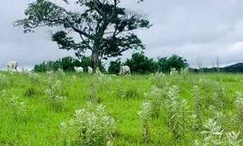 Imagem: Terrenos a venda a partir de 120.000,00