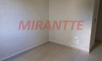 Imagem 5: Lindo apartamento em Lauzane Paulista