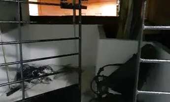 Imagem 5: Casa cordeiro Casa com 3 dormitórios