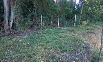 Imagem 2: Terreno plano, a 2,8 km do centro de Pinhalzinho