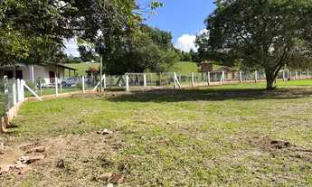 Imagem 4: Chacrinha em Sapiranga