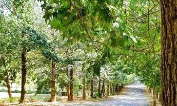 Imagem 7: Terreno - Ivoturucaia - Jundiaí