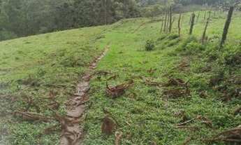 Imagem 6: Sítio com 4 Alqueires de Terras Férteis e Rico em Água, Sul de Minas, Delfim Moreira/MG