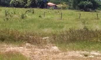 Imagem 7: Fazenda município de Crixás 128 alqueires!!