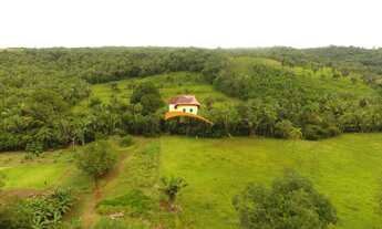 Imagem 4: Fazenda para Venda em Miranorte, Região produtora consolidada