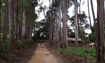 Imagem 5: Sitio 4.2 Hectares em Desterro de Entre Rios